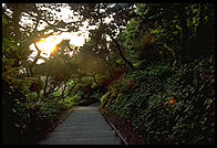 Pacific Ocean, Newport OR