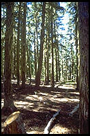 Waldo Lake Wilderness State Park