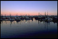 Yaquina docks, Newport OR