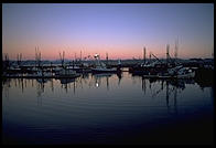 Yaquina docks, Newport OR