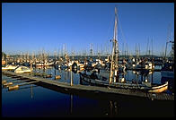 Yaquina docks, Newport OR