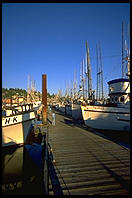 Yaquina docks, Newport OR