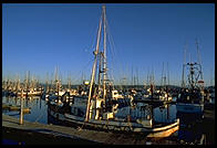 Yaquina docks, Newport OR