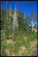 Crater Lake National Park