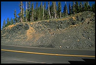 McKenzie Pass