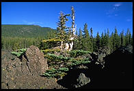 McKenzie Pass