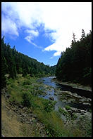 Umpqua River